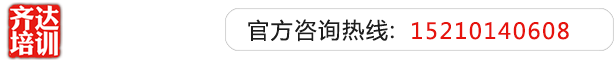 操逼文章视频齐达艺考文化课-艺术生文化课,艺术类文化课,艺考生文化课logo